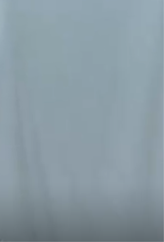 Winter Arc Capped Sleeve (LikeSkin)